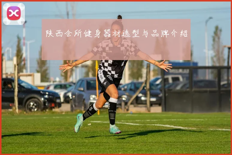 陕西会所健身器材选型与品牌介绍